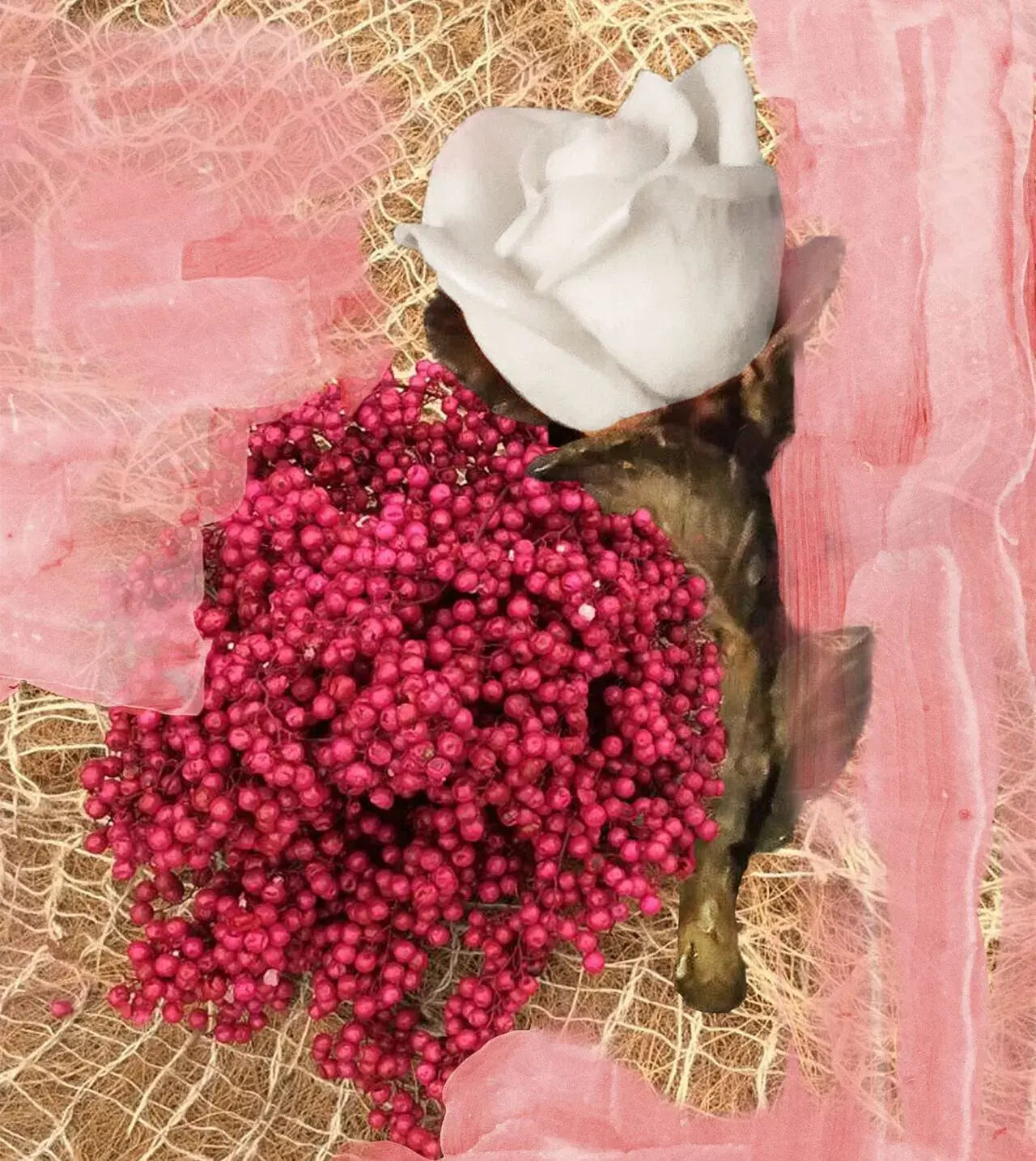ROSE OF NO MAN'S LAND