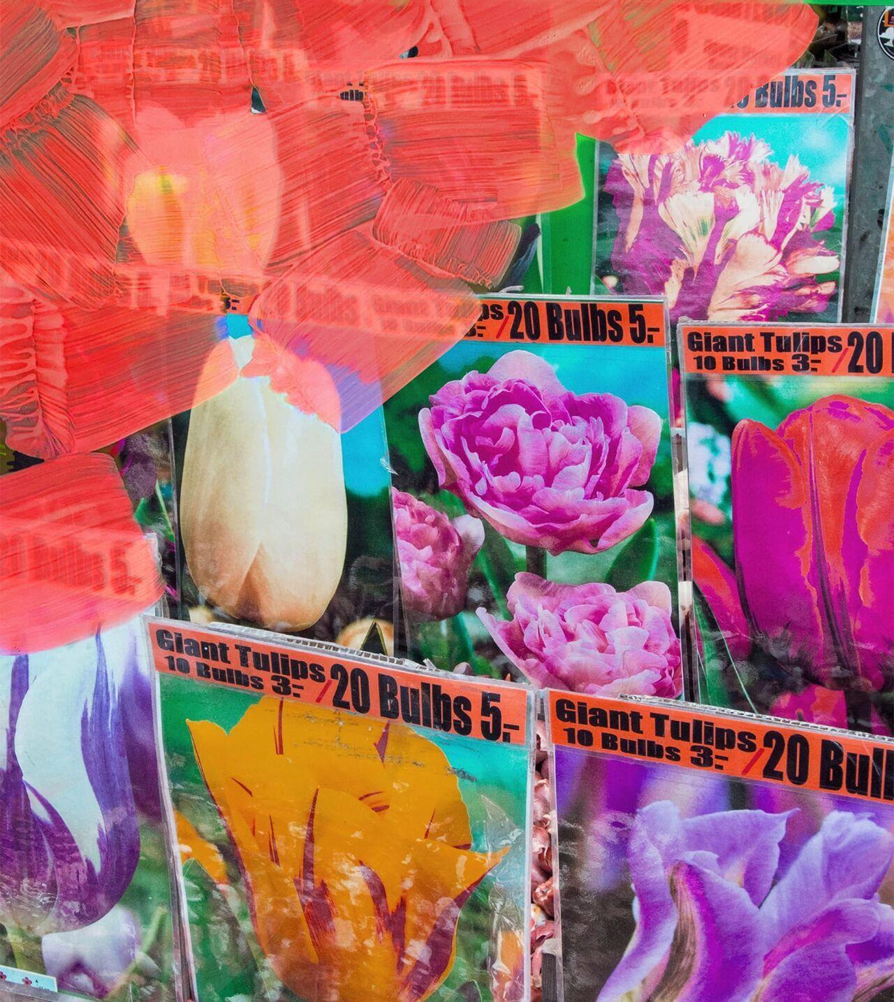 LA TULIPE
