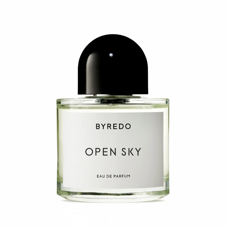 OPEN SKY