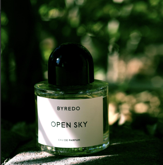 OPEN SKY
